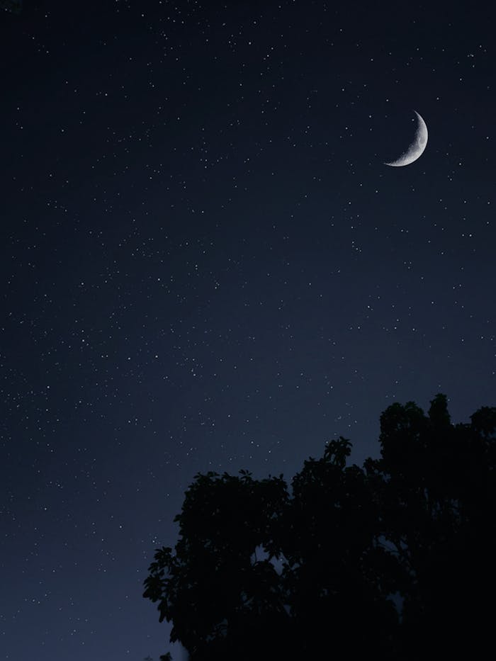 services-03 Serene night sky with a crescent moon and stars, creating a peaceful outdoor scenery with silhouetted trees.